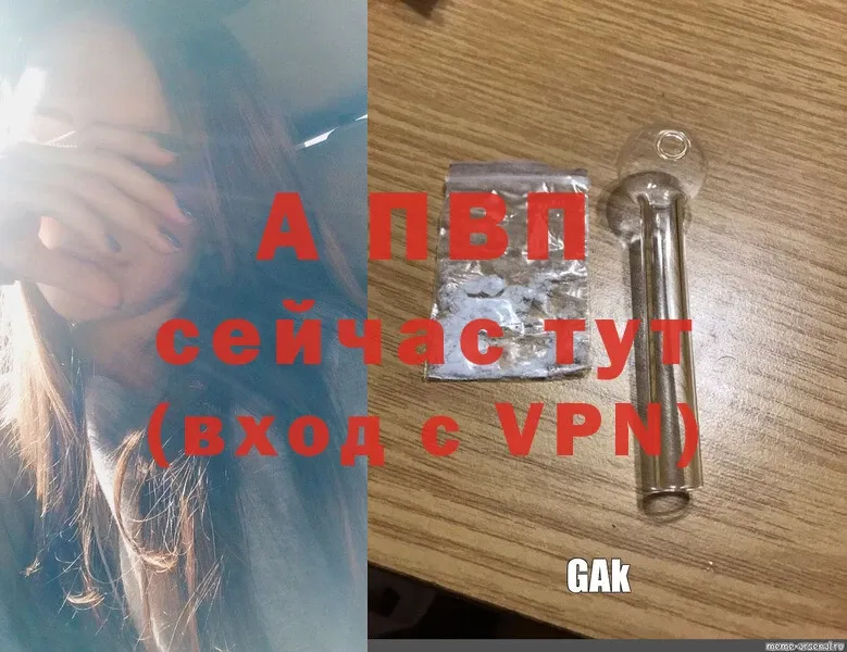 Alfa_PVP СК  Апатиты 