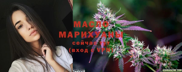 мдпв Инсар