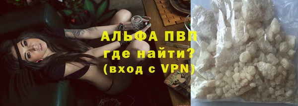ешки Новозыбков