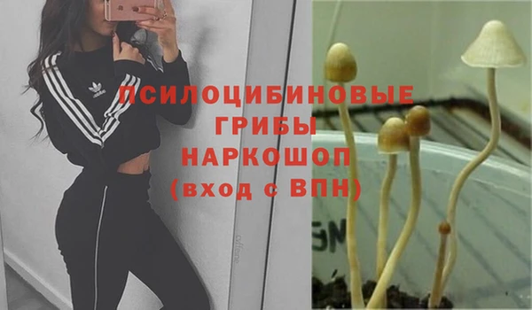 ешки Новозыбков