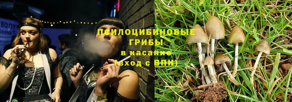 ешки Новозыбков