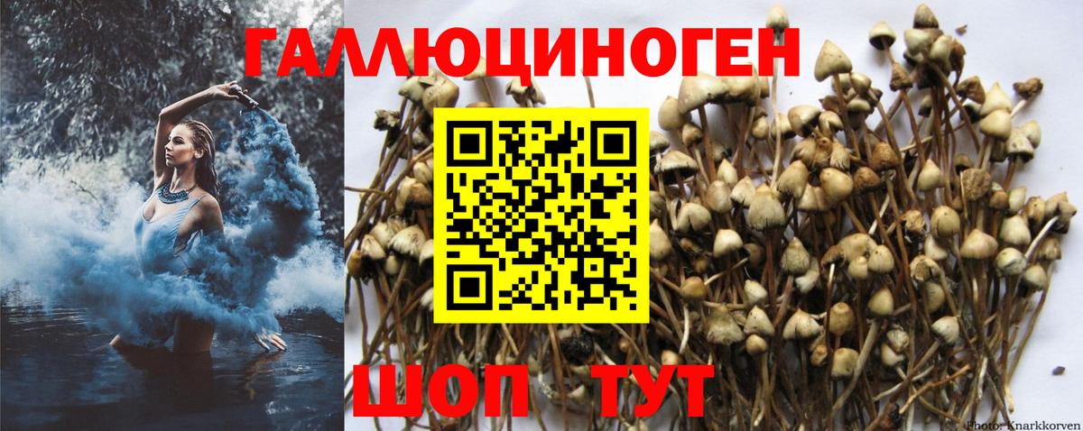 Галлюциногенные грибы Magic Shrooms Апатиты