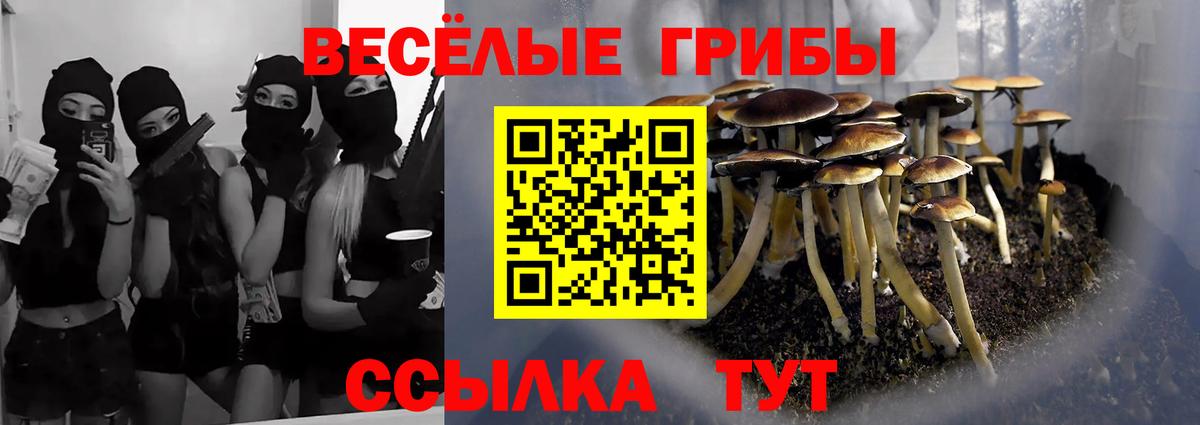 Галлюциногенные грибы Magic Shrooms  Вход с VPN  Апатиты 